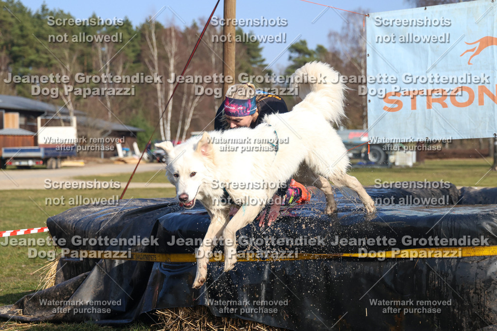 Dog Paparazzi - Strongdog North Mrz26-3217 | Dog Paparazzi Jeanette Grottendiek Fotografie & Videografie - Realisiert mit Pictrs.com