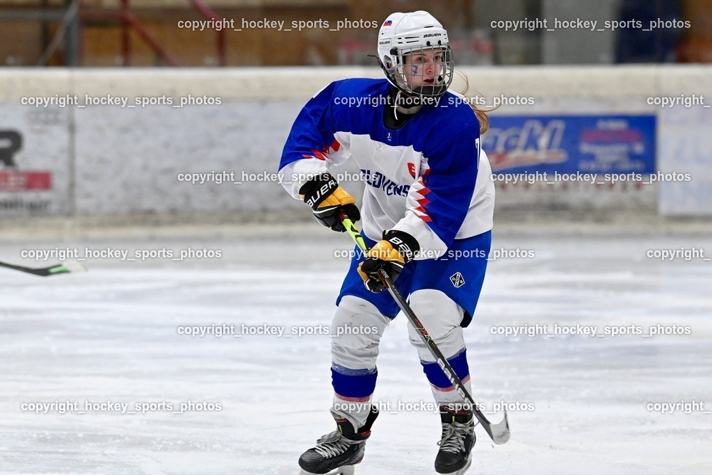 BST_5593 | hockey sports photos, Pressefotos, Sportfotos, hockey247, win 2day icehockeyleague, Handball Austria, Floorball Austria, ÖVV, Kärntner Eishockeyverband, KEHV, KFV, Kärntner Fussballverband, Österreichischer Volleyballverband, Alps Hockey League, ÖFB, 