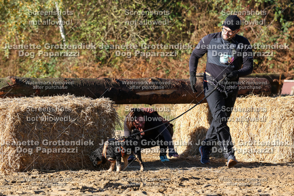 Dog Paparazzi - Strongdog 10-25-1441 | Dog Paparazzi Jeanette Grottendiek Fotografie & Videografie - Realisiert mit Pictrs.com