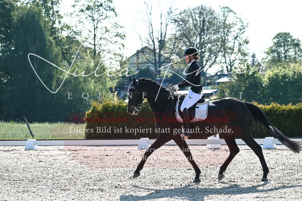 20230514_JK-Röhrsdorf-18-060 | Pferde- und Turnierfotografie in Westsachsen. Pferdeportraits, Auftragszeichnungen und intuitive Kunst.