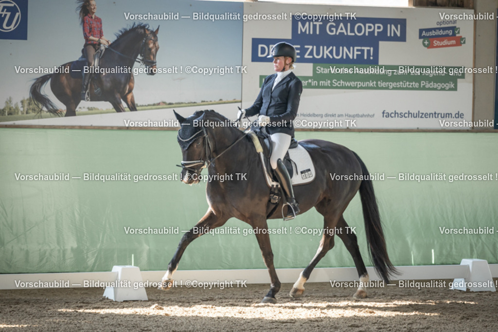 _D5A0719 | Emotionale Pferde- & People-Fotografie rund um Heidelberg, Leimen & Umgebung. Natürliche Fotos von Pferd, Mensch & Familie. Jetzt Termin sichern!