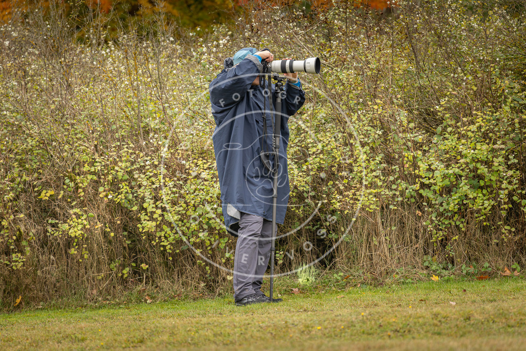 Pfotenfotografie_DV3A2815 | Hundefotografie, Tierfotograf, Pfotenfotografie, Fotoshooting Hund, Hunde Portrait, Hundesport, Hundeportraits, Heideshooting, Hunde, Sportfotograf, Hundefotograf, Turnierhundsport, THS,  - Realisiert mit Pictrs.com