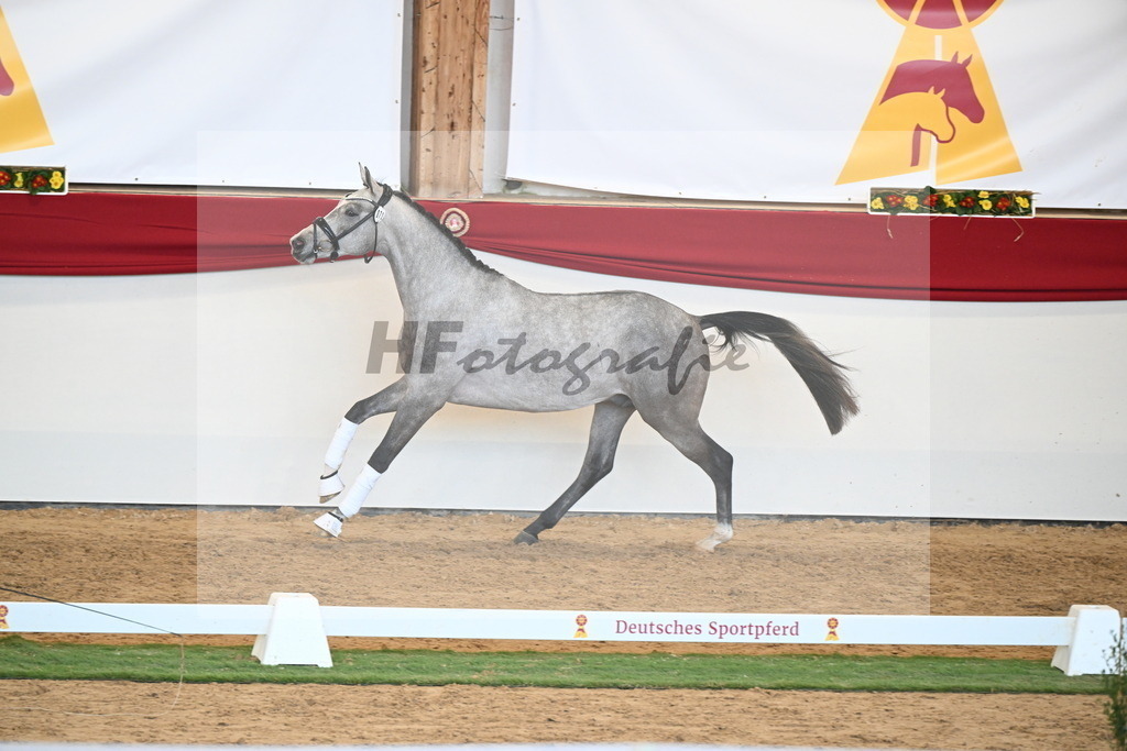 Kat.-Nr. 72 v. Johnson_Lehner_2250618 | hf-fotografie - Realisiert mit Pictrs.com