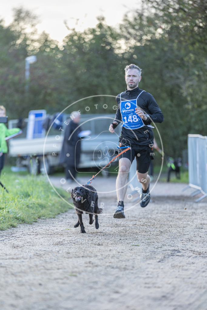Pfotenfotografie.de_DV3A2833 | Hundefotografie, Tierfotograf, Pfotenfotografie, Fotoshooting Hund, Hunde Portrait, Hundesport, Hundeportraits, Heideshooting, Hunde, Sportfotograf, Hundefotograf, Turnierhundsport, THS, canicross - Realisiert mit Pictrs.com