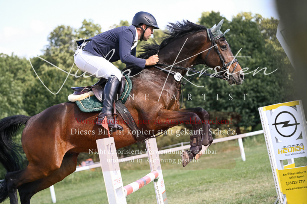 DSC_1409 | Pferde- und Turnierfotografie in Westsachsen. Pferdeportraits, Auftragszeichnungen und intuitive Kunst.