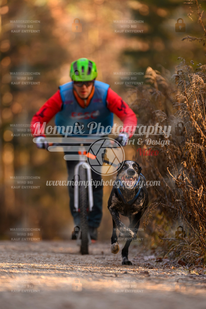 MompixPhotography_DM_AKDM_SO_2025_Scooter-137 | PayLife
