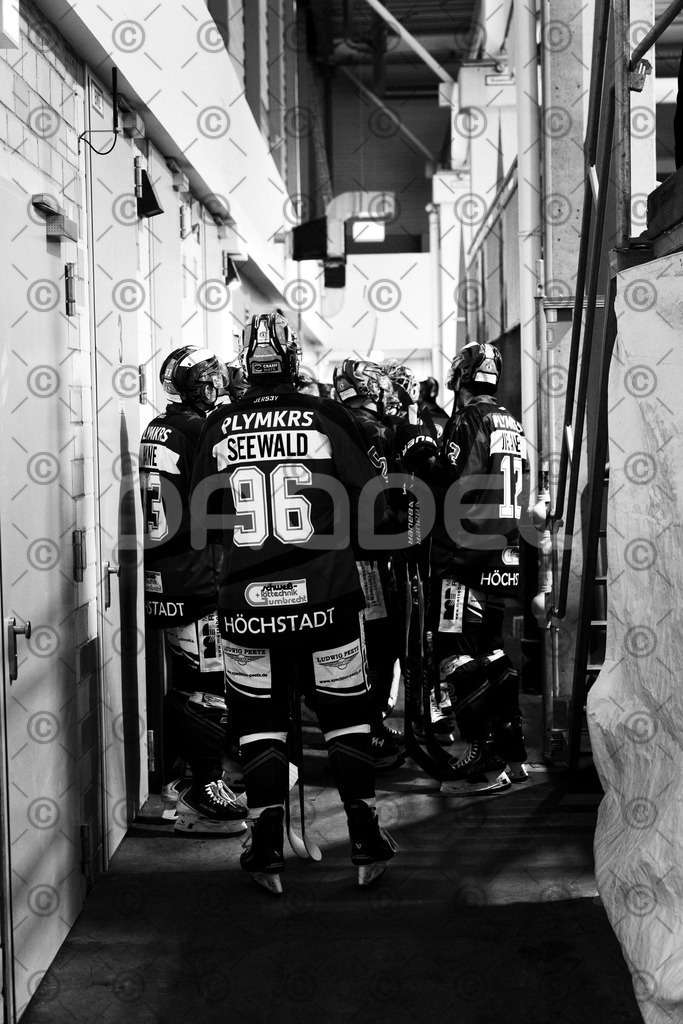 Alligators_vs_Bayreuth_10_2025-06 | Höchstadt Alligators Fotogalerie: Eishockey-Action aus Franken. Professionelle Spielfotos, Portraits & Stadionbilder zum Download. Jetzt entdecken! - Realisiert mit Pictrs.com