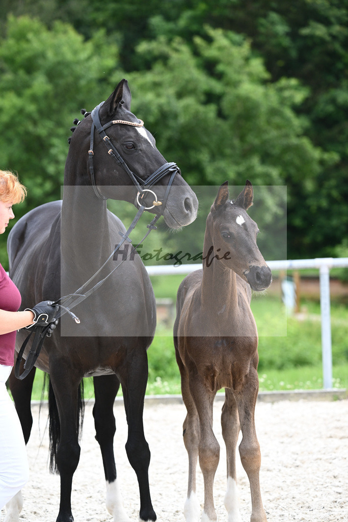 Segantini x Desperados_HF_Kloessinger_20240913 | hf-fotografie - Realizzato con Pictrs.com