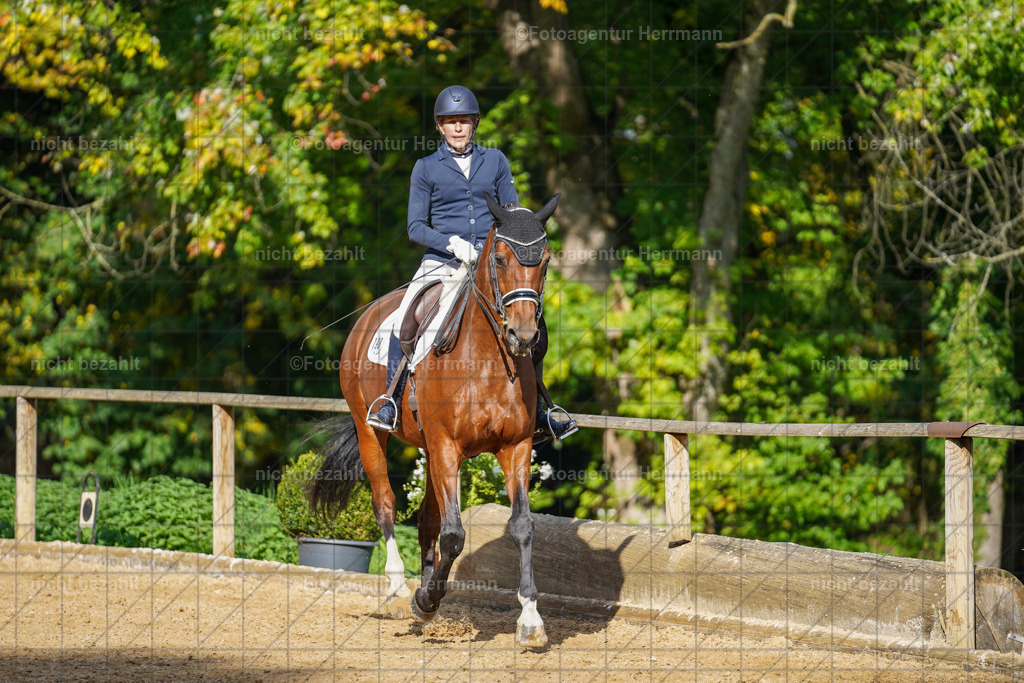 20221007-FAH09982 | Diessen am Ammersee, 2022, Dressur- und Springturnier, Reitsportbilder, Turnierfotografen Bayern, Pferdefotografen, Fotoagentur Herrmann, Turnierbilder