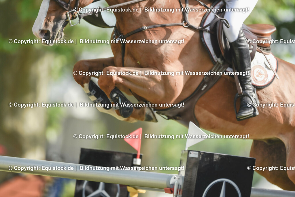 20230529_20_CSI4_Großer-Preis_0628 | equistock