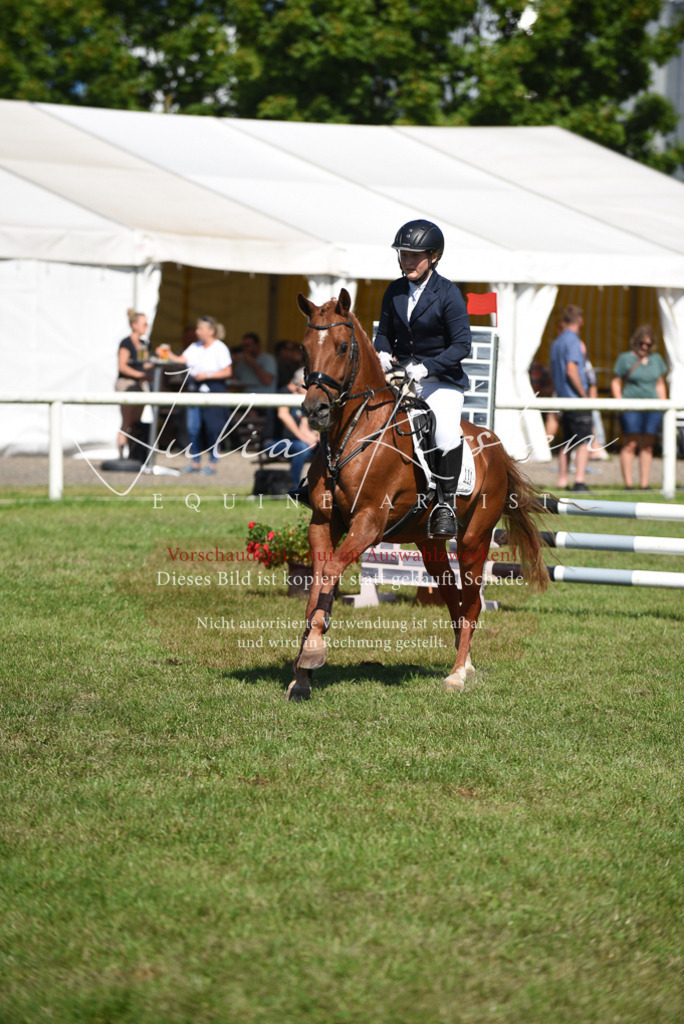 DSC_9306 | Pferde- und Turnierfotografie in Westsachsen. Pferdeportraits, Auftragszeichnungen und intuitive Kunst.