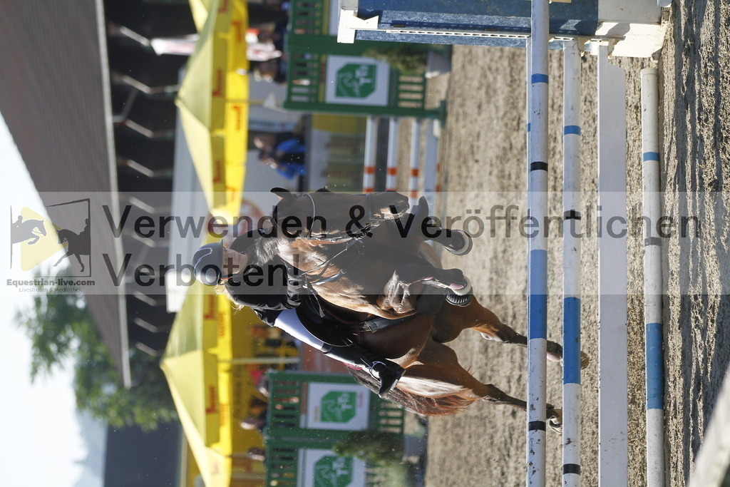 _MG_4164 | equestrian-live-com