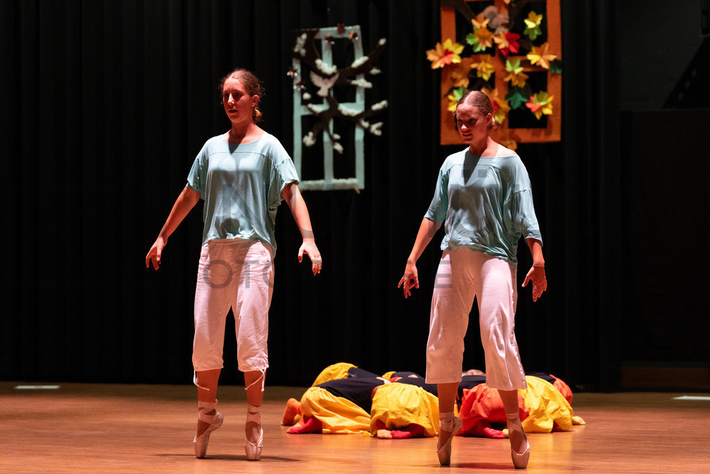 DSC08865 | Tinu Müller Fotografie- Bildershop - Realisiert mit Pictrs.com