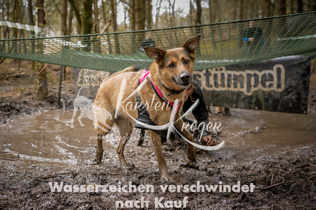 1048_ZZ92093 | kk-dogfotos