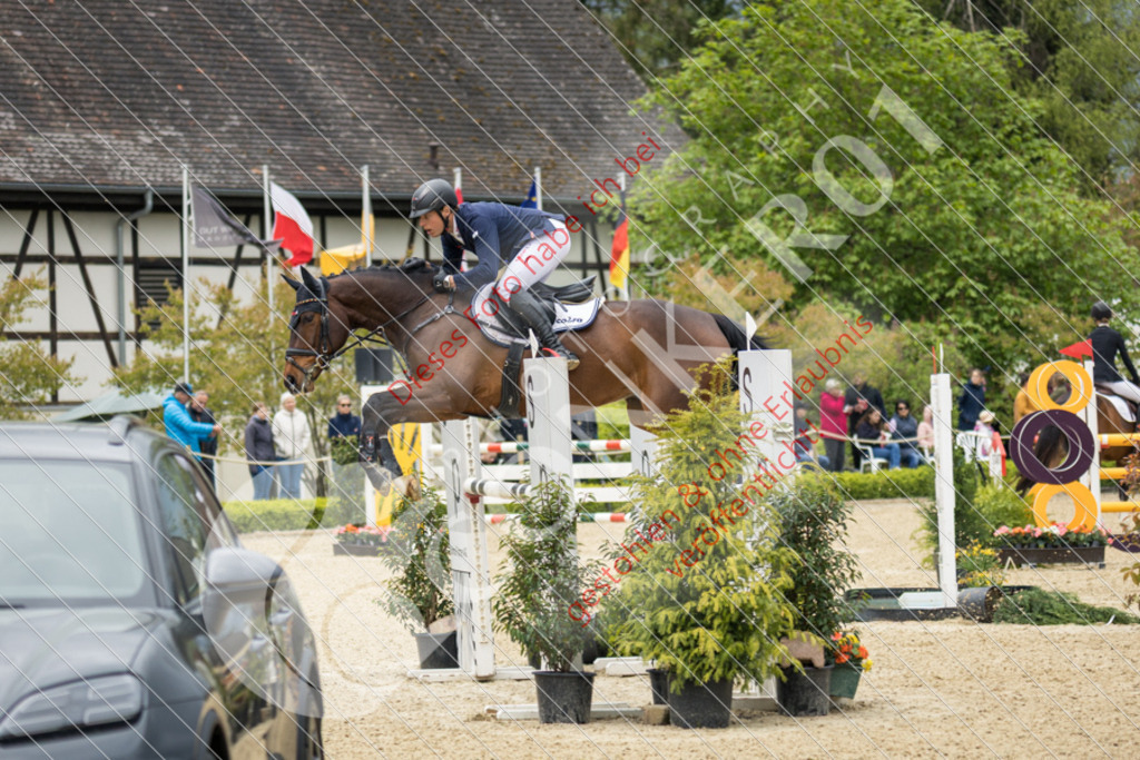 IMG_2350 | Hier findest Du viele Augenblicke aus den Bereichen der Turnier-, Sport- & Tierfotografie. Bilder mit deinem Liebling, Portrait-, Bewerbungs-, Businessbilder können ebenfalls schnell und einfach erstellt werden.