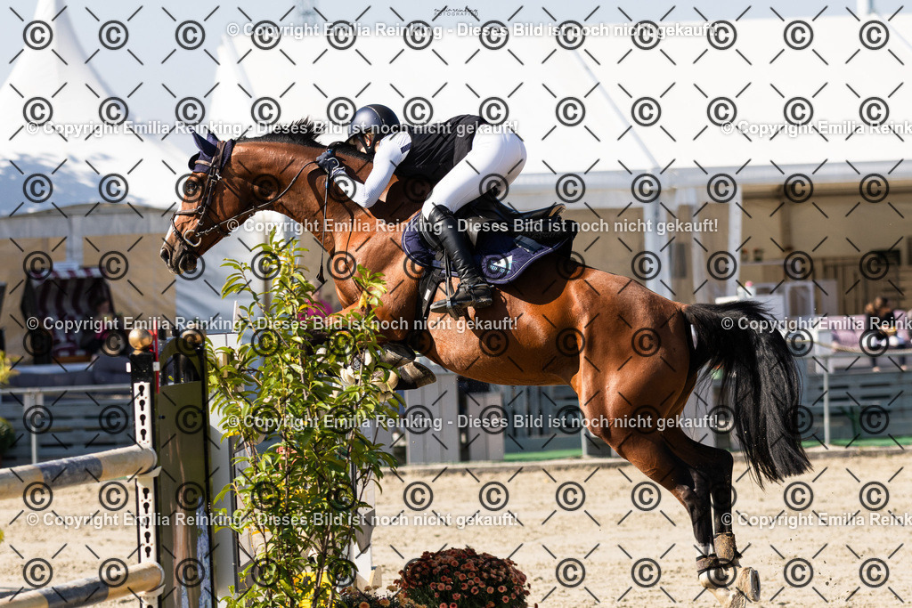 CL5A6384 | Emilia Reinking Fotografie - Realisiert mit Pictrs.com