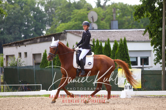 DKP42104 | Turniersportfotografie; Pferdefotografie; Dressurfotografie