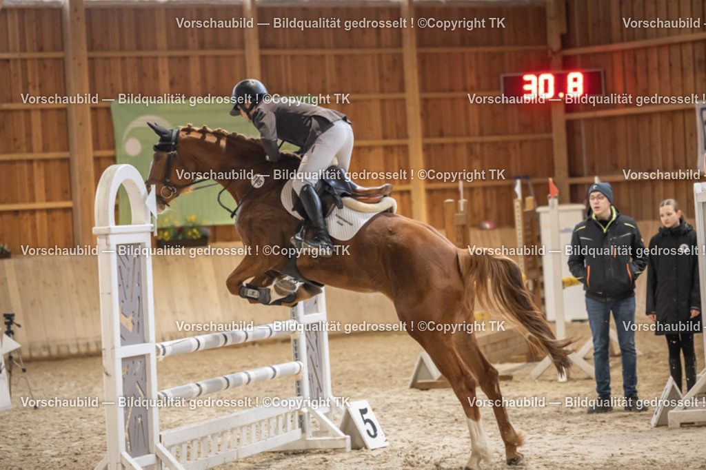 _D5A8009 | Emotionale Pferde- & People-Fotografie rund um Heidelberg, Leimen & Umgebung. Natürliche Fotos von Pferd, Mensch & Familie. Jetzt Termin sichern!