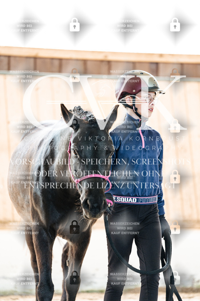 CK906826 | Turnierfotografie Pferdefotografie Trier Rheinland-Pfalz Pferdesport Reitsport Tierfotografie Sportfotografie Pferdevideo Pferdevideografie Equestrianvideography equestrianphotography  - Realisiert mit Pictrs.com