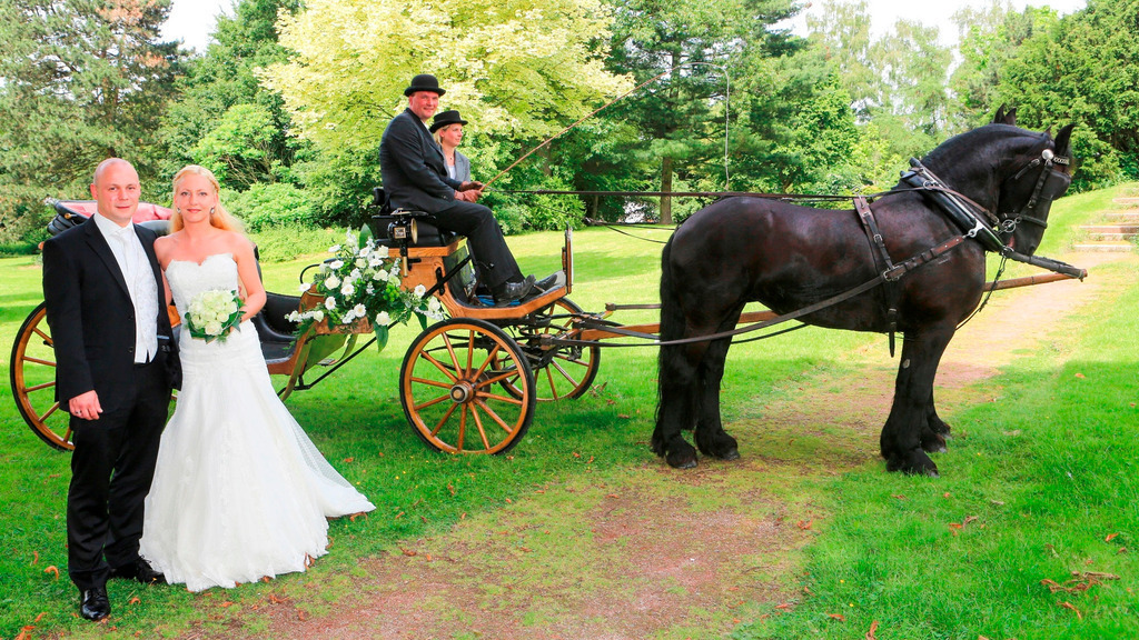 top-top.de Hochzeiten140 | Am Samstag, den 07.06.2014 fuhr die NRZ-Hochzeitskutsche mit Stefanie Schumann und Adrian Strompen durch Rheinberg.
Das Paar hatte die Kutschfahrt im NRZ Preisausschreiben gewonnen.
Auf dem Kutschbock: Johannes Litjes und Jenny Gruchmann.
Foto: Erwin Pottgiesser / WAZ FotoPool