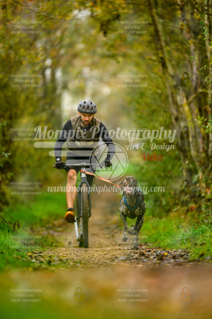 MompixPhotography_20TSB_E6_DS1-33 | PayLife