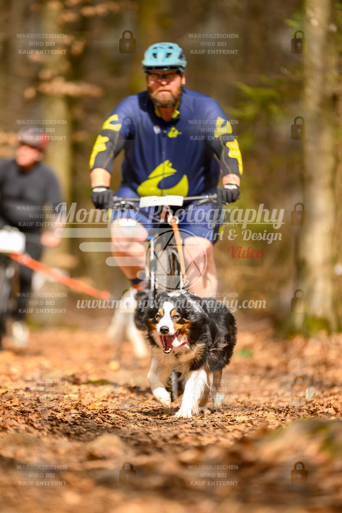 MompixPhotography_Habay2025_SA_Bike-165 | PayLife