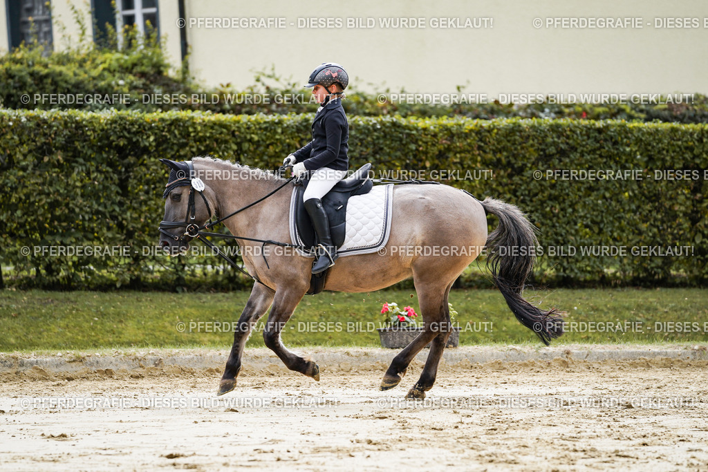 DSC05515 | Pferdegrafie