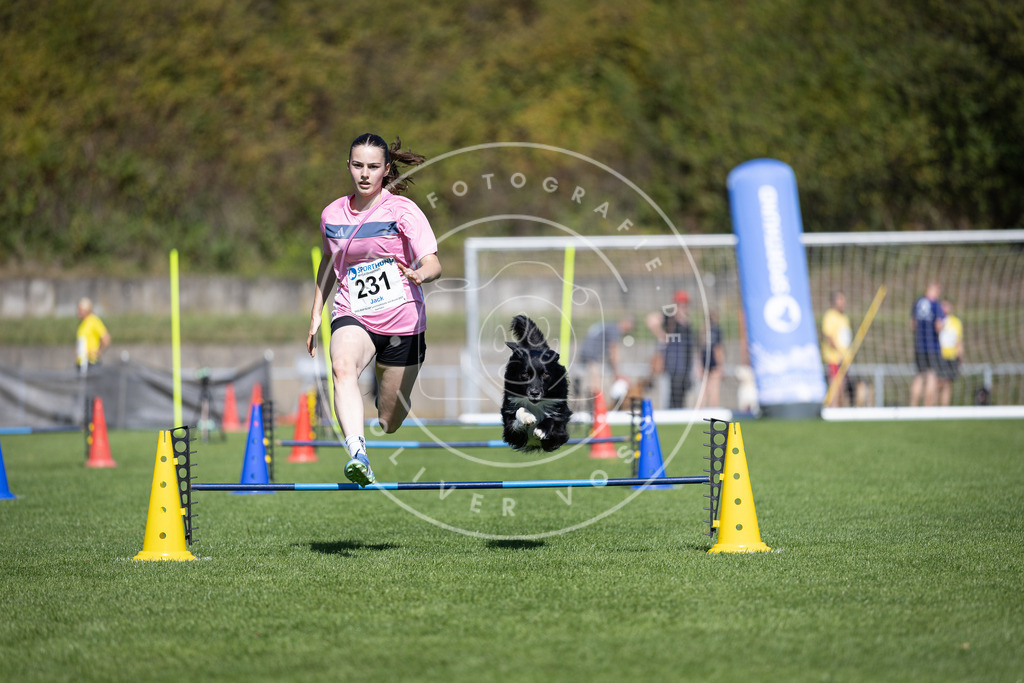 Pfotenfotografie_DV3A5702 | Hundefotografie, Tierfotograf, Pfotenfotografie, Fotoshooting Hund, Hunde Portrait, Hundesport, Hundeportraits, Heideshooting, Hunde, Sportfotograf, Hundefotograf, Turnierhundsport, THS,  - Realisiert mit Pictrs.com