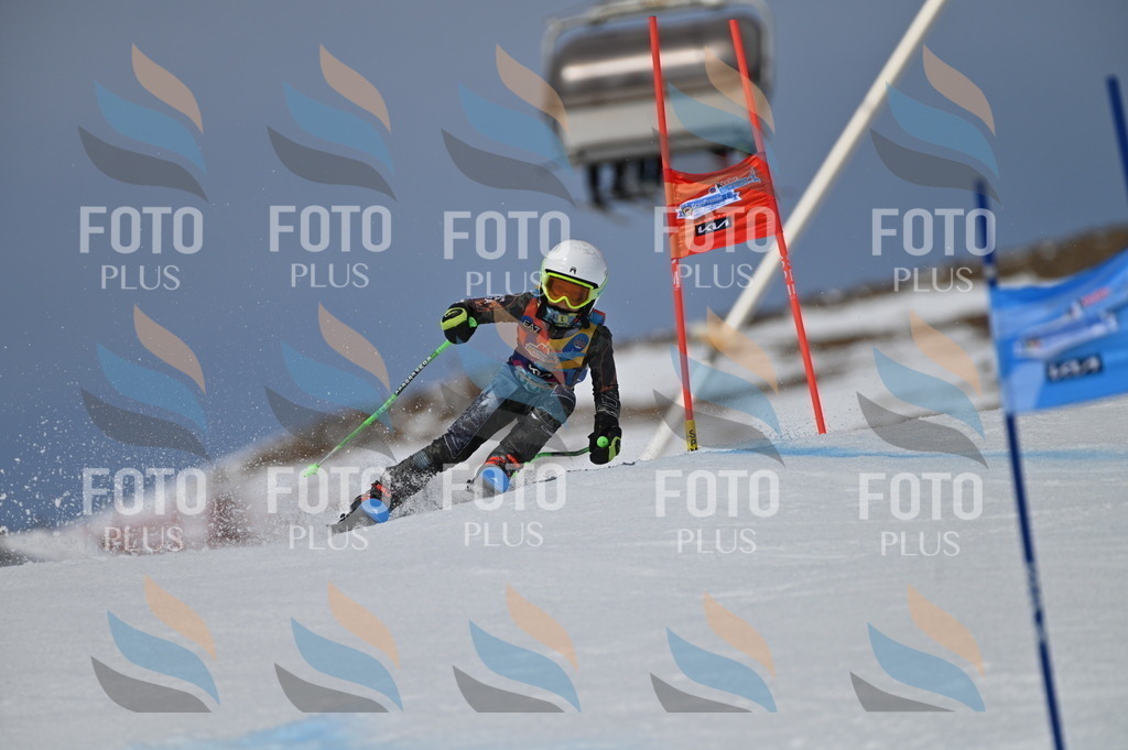 BGV_6946 | holidayphoto