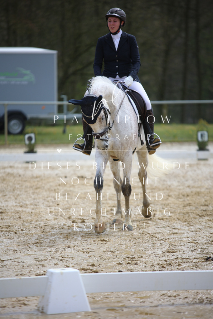 IMGT3241 | pl-fotografie