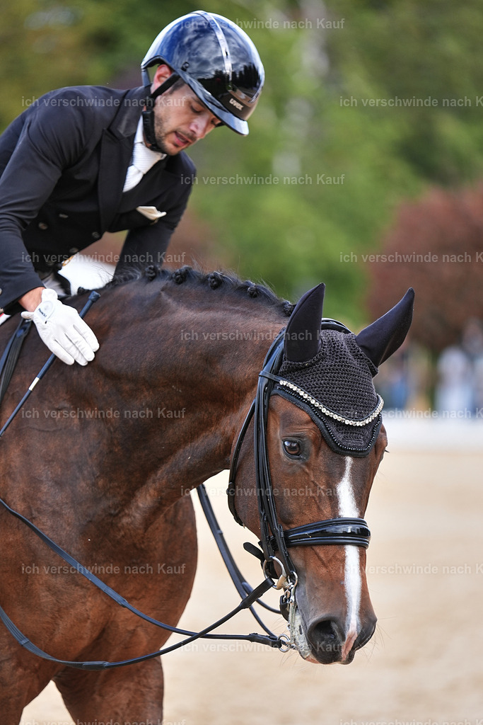 10-207-ST.GEORG SPECIAL -Marixx-3402 | working equitationturnier fotograf videograf stoibphotography marixx film working equitation deutschland reitsport turnierfotografie eventfotografie equestrian events