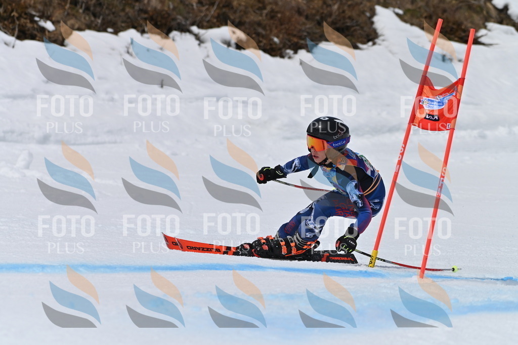 BGV_4833 | holidayphoto