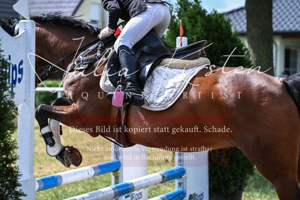 DSC_8527 | Pferde- und Turnierfotografie in Westsachsen. Pferdeportraits, Auftragszeichnungen und intuitive Kunst.