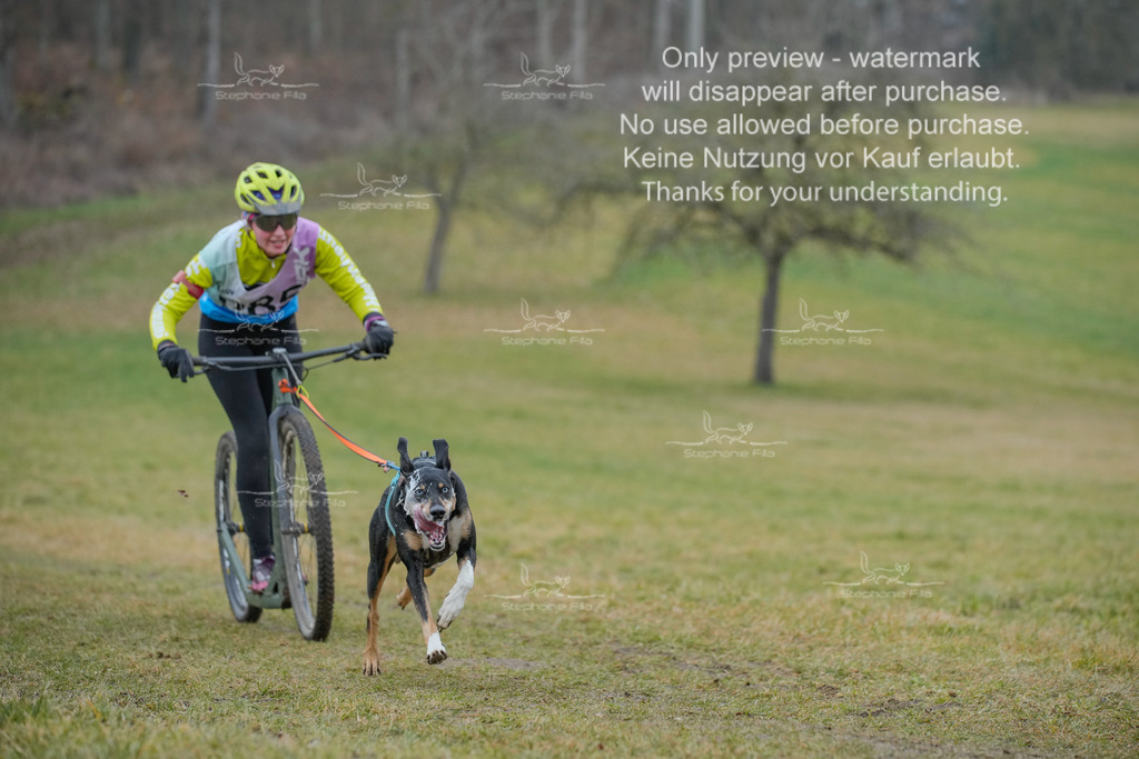 Sa_Scooter1-113 | stephaniefillaphotographie - Realisiert mit Pictrs.com