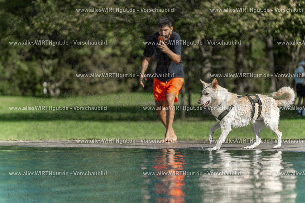 Hundeschwimmen_Volksbad_2026-allesWIRTHgut_Tierfotografie-2609061549-7R501902 | Professionelle Tierfotografie in Mönchengladbach von Daniel Wirth (allesWIRTHgut). Liebevolle & natürliche Bilder von Hunden & Katzen für unvergessliche Erinnerungen.