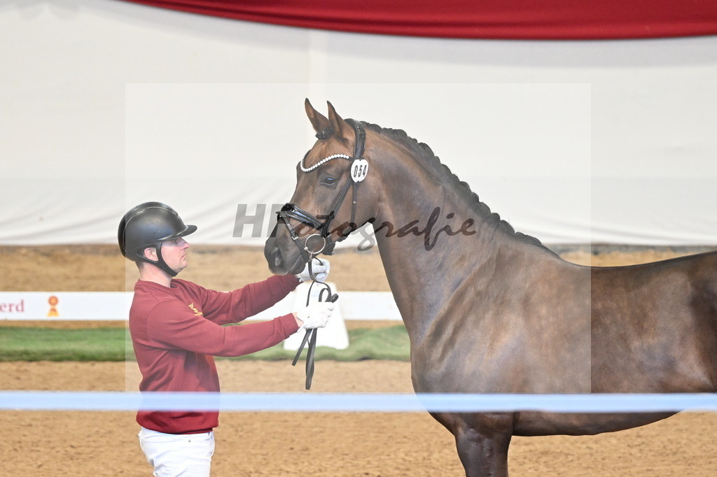 Kat.-Nr. 54 v. Feliciano_Rupp_3260555 | hf-fotografie - Realisiert mit Pictrs.com