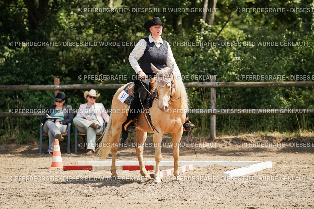 DSC07030 | Pferdegrafie