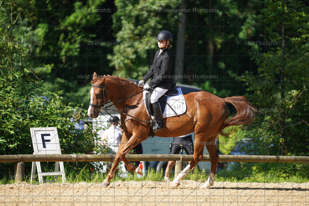 20240706-FAH04586 | Grafing Turnierfotos, Reitverein Ebersberg, Turnierfotografen Bayern, reitsportbilder, Pferdefotograf, reitsportfotograf, Sportbilder, Reitsportfotografie, Fotoagentur Herrmann, Turnierfotograf
