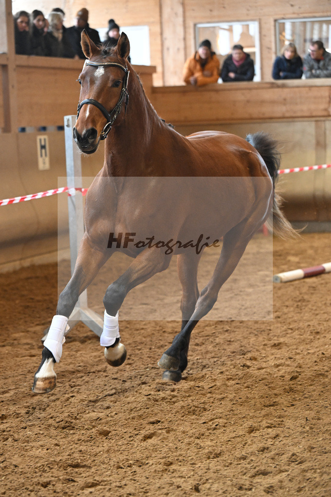 Kat-Nr. 43 Ehawee v. Colestus_Fischer_16251011 | hf-fotografie - Realisiert mit Pictrs.com