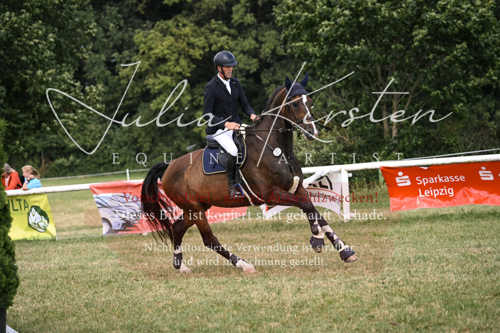 DSC_0845 | Pferde- und Turnierfotografie in Westsachsen. Pferdeportraits, Auftragszeichnungen und intuitive Kunst.