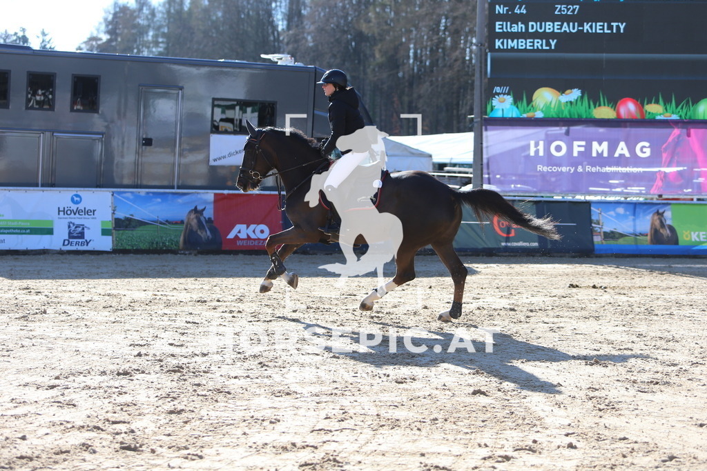 DL2Q3923 | Willkommen bei Brunnmayr - Design & Fotografie – Ihrem Spezialisten für Reitturniere und Pferdeveranstaltungen in Oberösterreich, Salzburg und Bayern! Seit über 17 Jahren sind wir leidenschaftlich dabei.