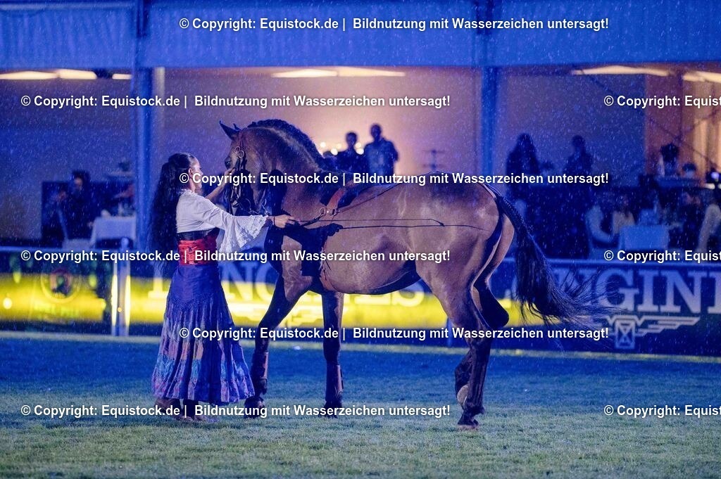 20250606_Lange-Pferdenacht_1129 | Foto: Thomas Hartig