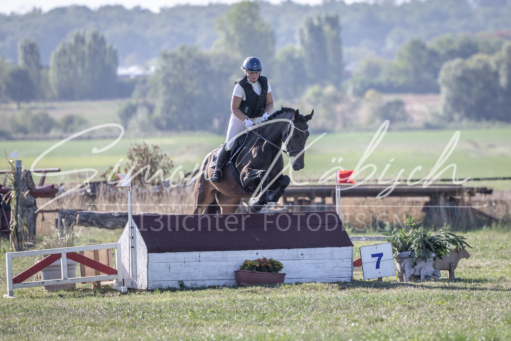 20260906-_3LI1835 | Tierfotografie Pferde, Hunde, Katzen, Haustiere.
Turnierfotografie Reitturniere, Reiten, Springreiten, Dressur in Hanau, dem Main-Kinzig-Kreis und dem Rhein-Main- Gebiet um Frankfurt