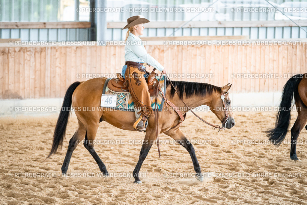 DSC00212 | Pferdegrafie