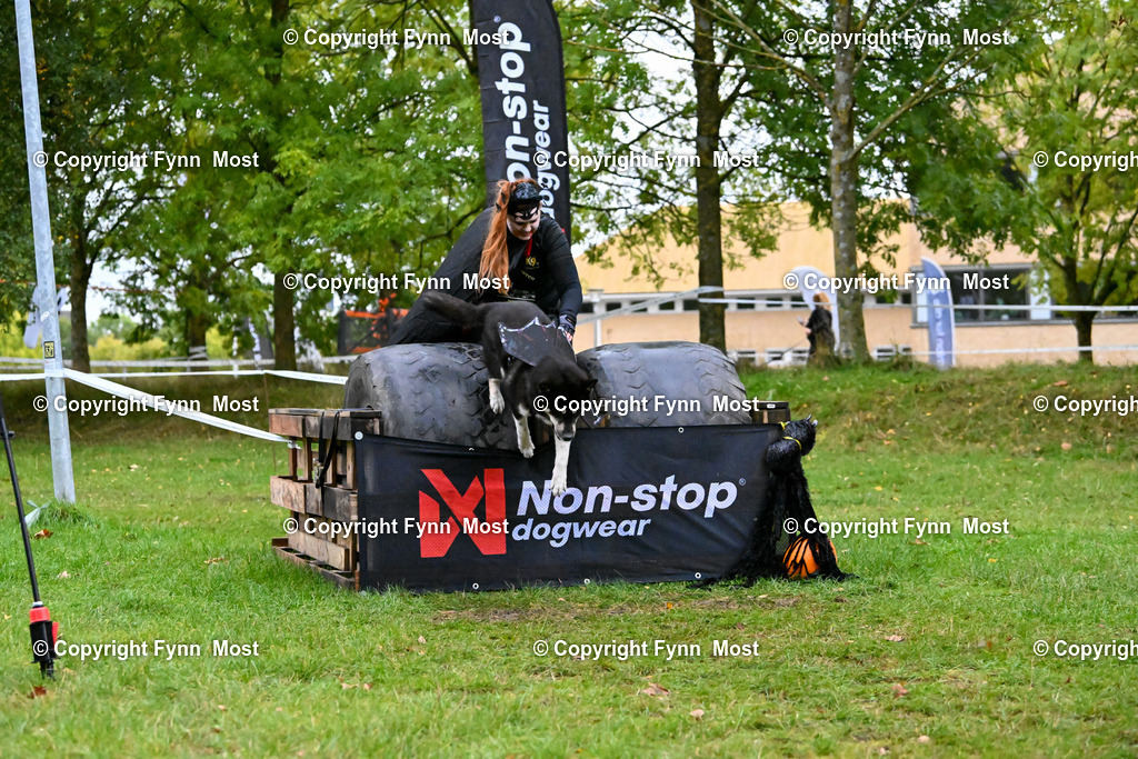 DSC_3178 | Hallo und herzlich Willkommen auf meiner Shop-Seite Fynn Most.

Ich wünsche Dir viel Spaß beim stöbern durch die Bilder, wenn Du Fragen hast oder Bilder vermisst, kannst du mir gerne eine Nachricht schreiben. - Realisiert mit Pictrs.com