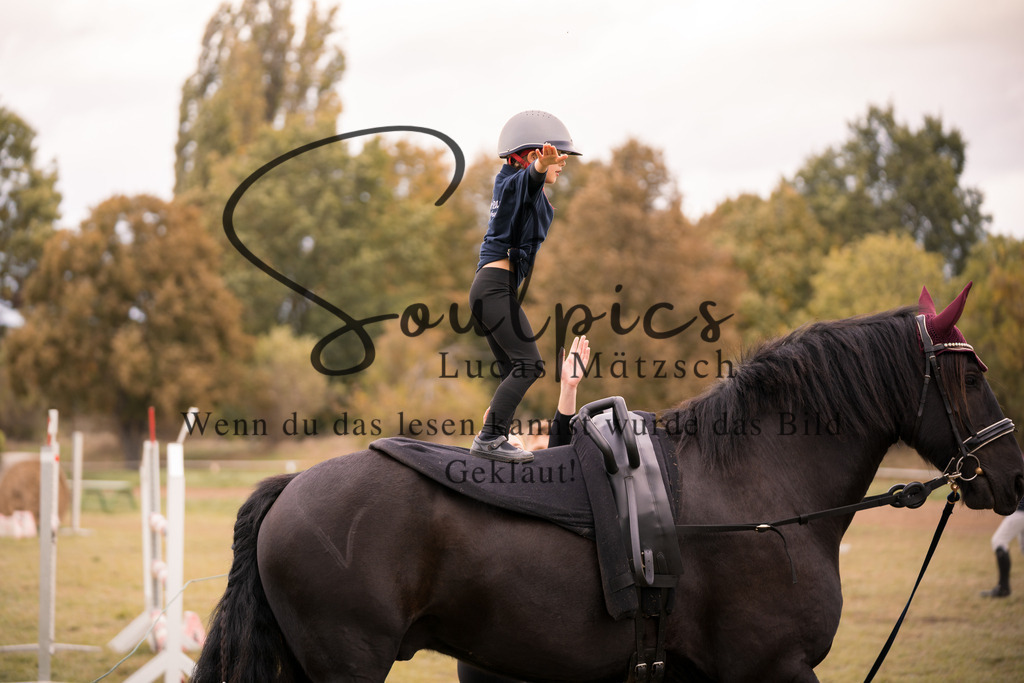 A7V07220 | Pferdefotograf