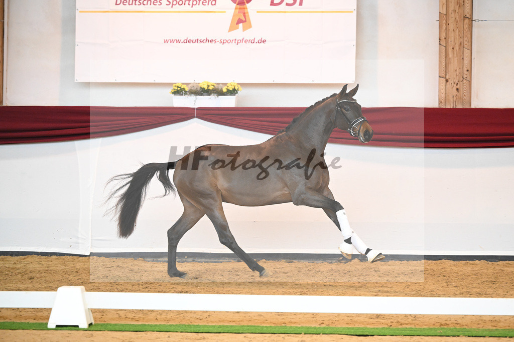 Kat-Nr. 9 v. Bonds_Schmidt_66221698 | hf-fotografie - Realisiert mit Pictrs.com