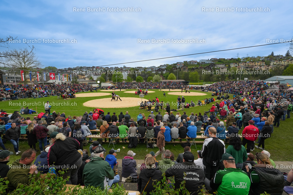 RB_04619 | René Burch leidenschaftlicher Fotograf aus Kerns in Obwalden.  Hier finden sie Sport, Landschaft und Natur Fotografie.
 - Realisiert mit Pictrs.com