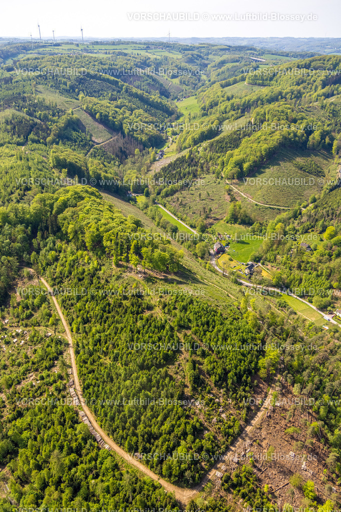 Hagen240504615Hohenlimburg | Luftbild, Nimmertal Hügellandschaft, Waldgebiet mit Waldschäden Kalamitätsflächen, Hohenlimburg, Hagen, Ruhrgebiet, Nordrhein-Westfalen, Deutschland