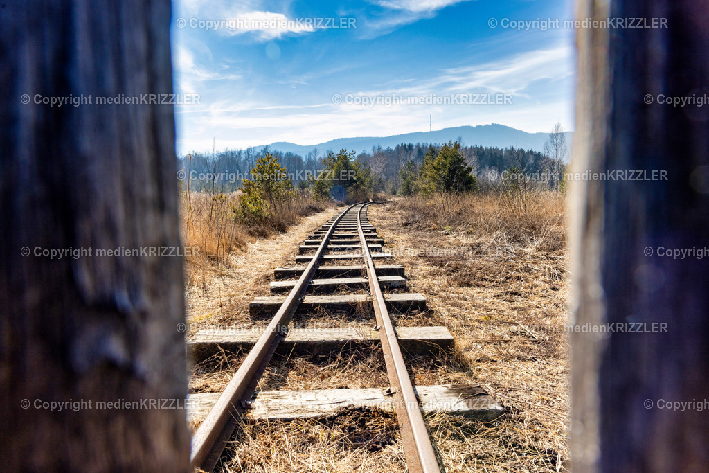 _J3A7750 | medienkrizzler - Realisiert mit Pictrs.com